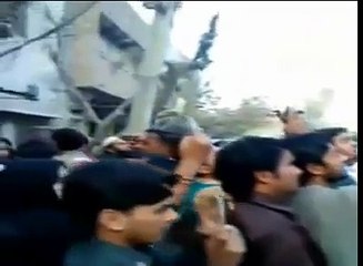 Allah Muhammad Name on Tree - Miracle in Faisalabad - TheAllahsMiracles.com