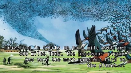 5 Extinct Animals That May Still Roam the Earth