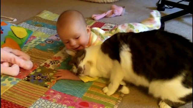 Our Babysitting Cat - Уши, лапы, хвост