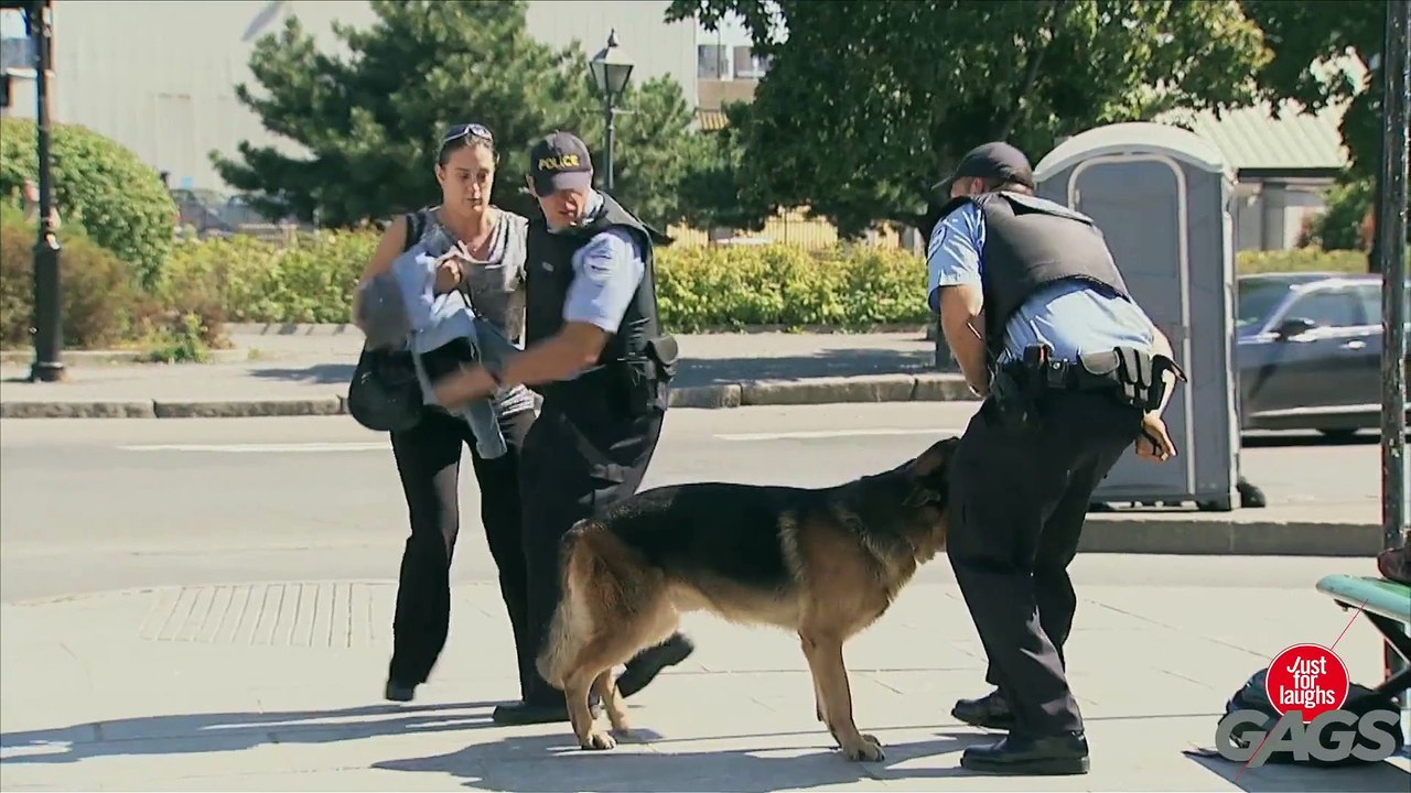 Rabid Dog Mauls Cop's Crotch