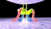 HIV life cycle:  How HIV infects a cell and replicates itself using reverse transcriptase