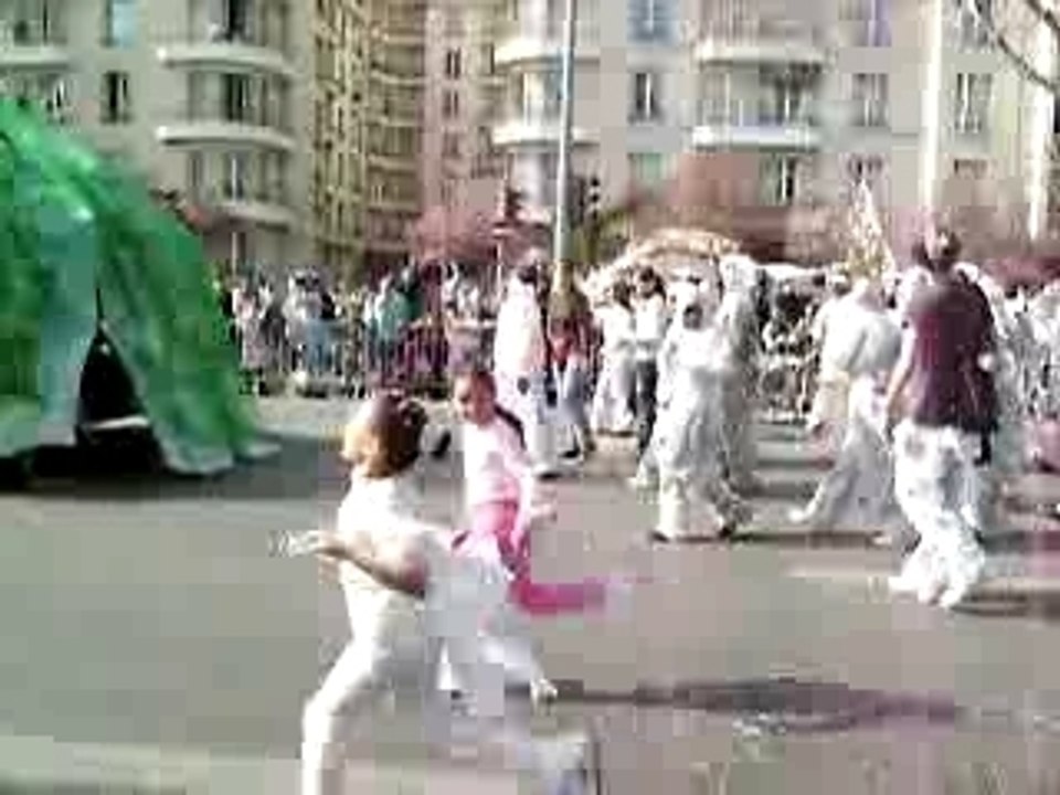caranaval marseille11