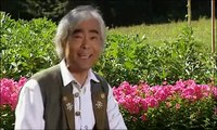 Takeo Ischi - New Bibi Hendl (Chicken Yodeling) 2011 - video Dailymotion