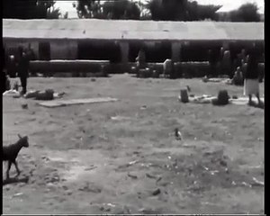 Pier Paolo Pasolini, Profezia