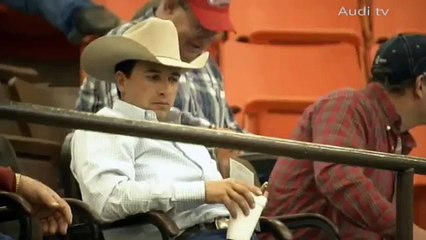 Audi: Die schnellste Versteigerung der Welt - Rinderauktion in Texas