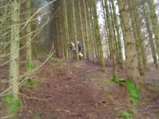 Husqvarna aime les arbres