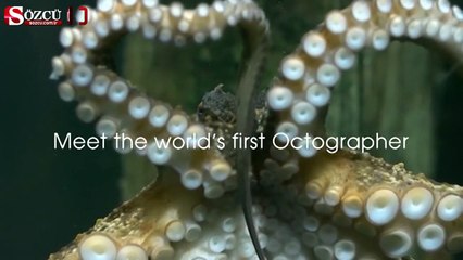 Ahtapot böyle fotoğraf çekti