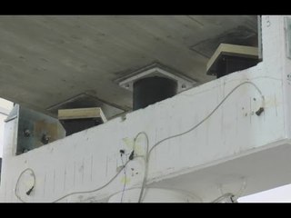 Napoli - Terremoti, le tavole vibranti nella sicurezza edile -1- (10.04.15)