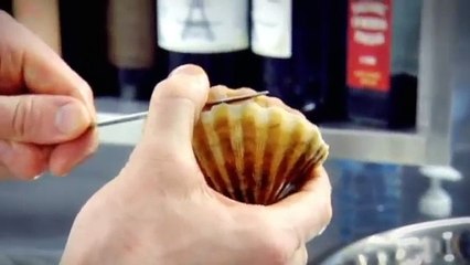 Perfect Scallops with Cauliflower Puree - Gordon Ramsay