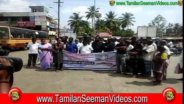 NTK Tholar 20150410 Seetha Lakshmi Speech at Gobi during Protest against Killing 20 Tamils