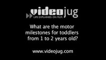 What are the motor milestones for toddlers from 1 to 2 years old?: Toddler And Preschool Milestones