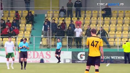 En Roumanie, des supporters imitent un arbitre de touche