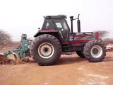 ploughing the desert - 2 (fighting desertification in Sahel)