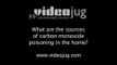 What are the sources of carbon monoxide poisoning in the home?: Carbon Monoxide