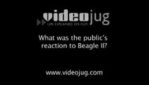 What was the public's reaction to Beagle II?: The Beagle Missions