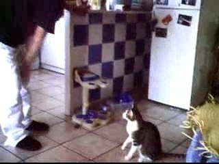 Moustik et le plumeau