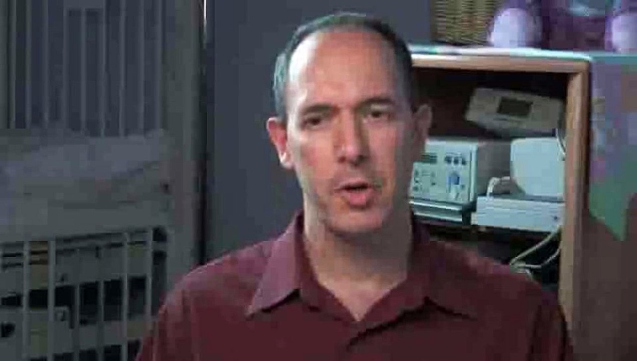 What is "sleep training"?: Child Sleep Training Basics