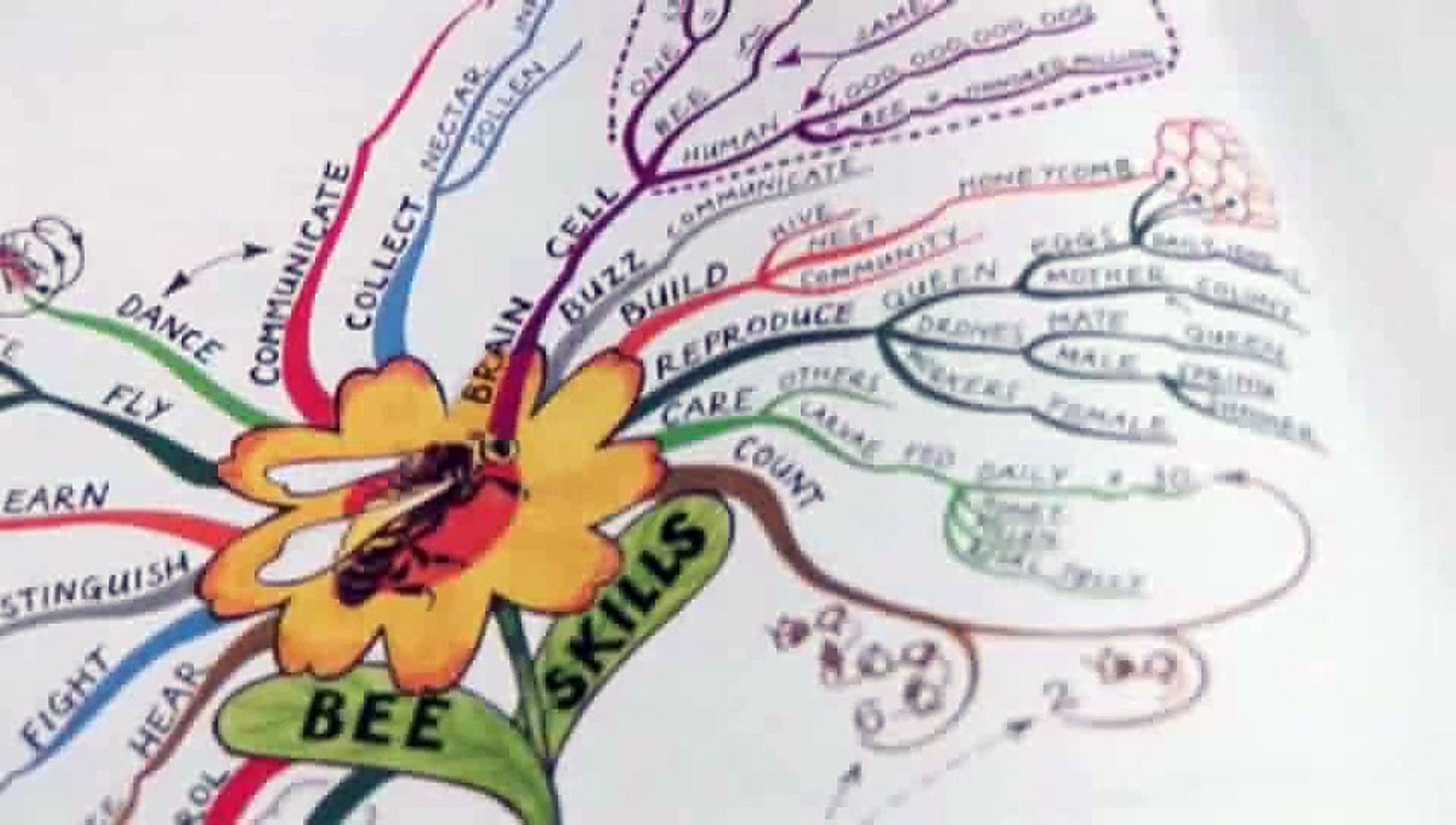 ⁣How To Use Mind Map