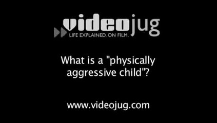 What is a "physically aggressive child"?: Child Behavior: Physical Aggression