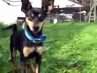 שסק הפקות סרטים - סרטי הריון ולידה