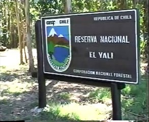 Canal 2 TV San Antonio, Chile