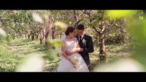 Очень красивый свадебный клип Кати и Дениса видеосъемка свадьбы Киев
