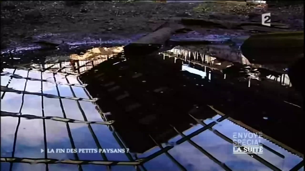La perte des petits paysans (reportage)envoyé Spécial
