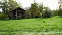 Cool dog mowing lawn