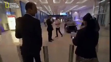 Snakes on a Plane - Real Story