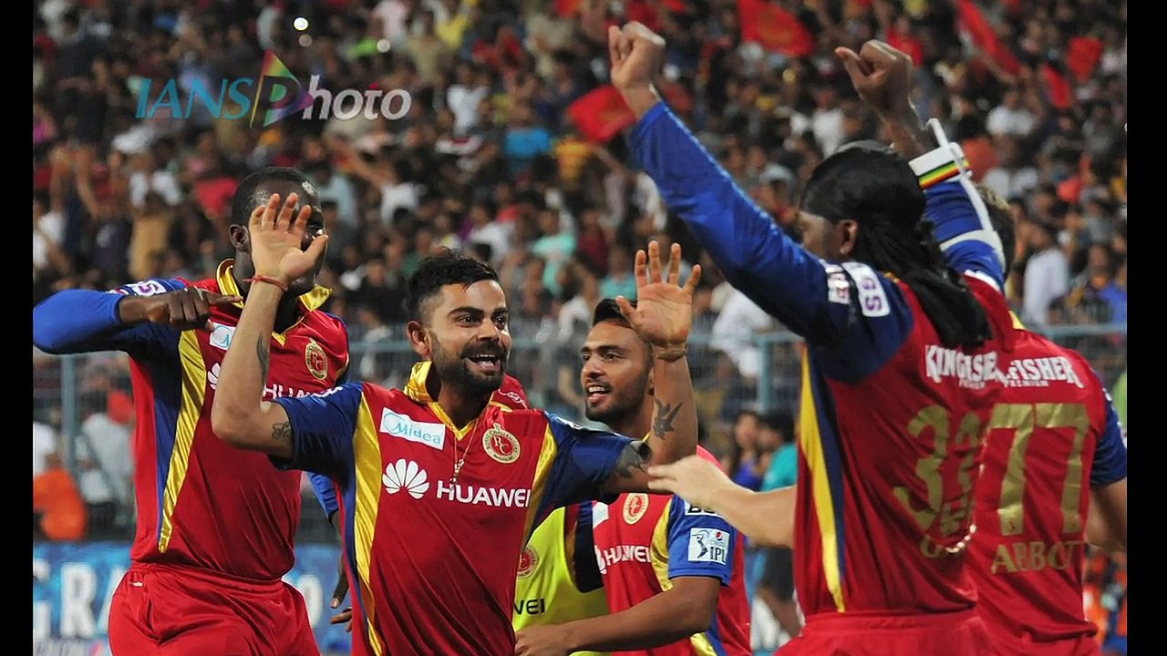 IPL 8 Watch RCB Celebrations after beating KKR