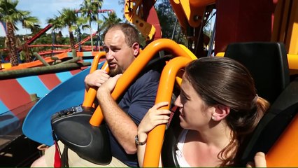 Attractions hosts dive face-first on Falcon's Fury at Busch Gardens