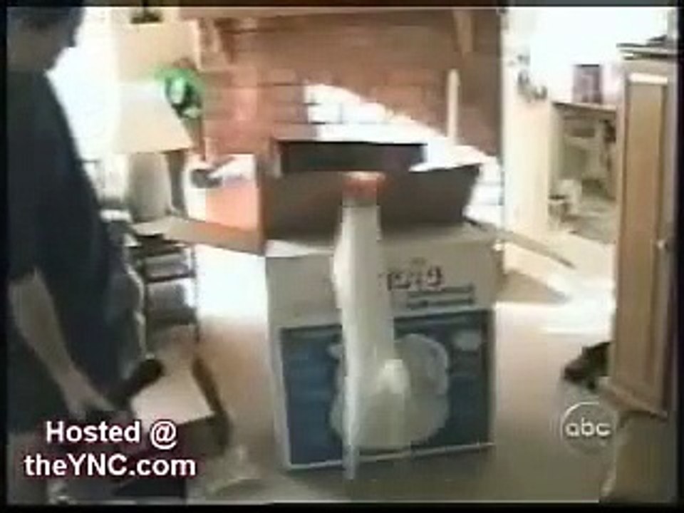 Cat bloopers