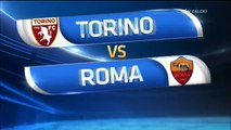 [12-4-2015] Torino 1-1 Roma [Serie A] Highlights