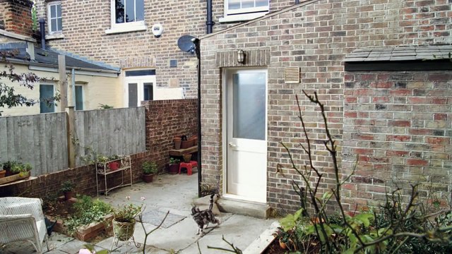 Cravendale - Cats with Thumbs #CatsWithThumbs