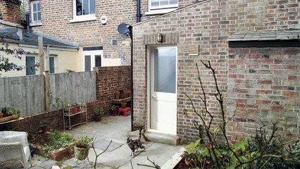 Cravendale - Cats with Thumbs #CatsWithThumbs