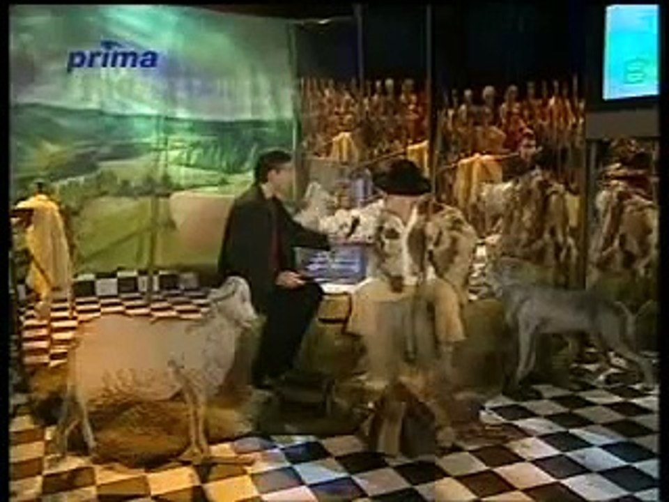 Zdenek Izer - Reportér u baču