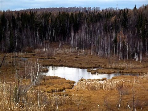 Ernst Busch Lied vom Vaterland