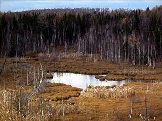 Ernst Busch   Lied vom Vaterland