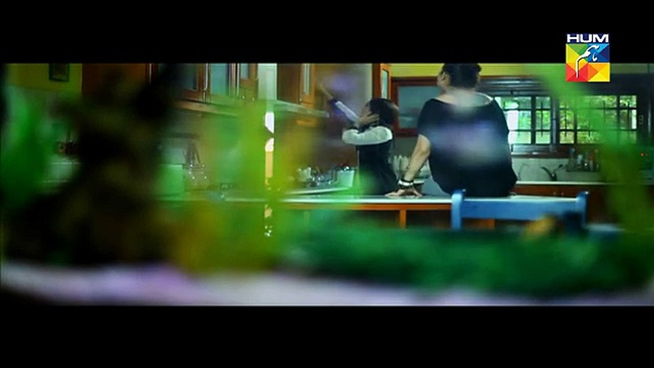 Zid Episode 16 Full HD HUM TV 12 April 2015