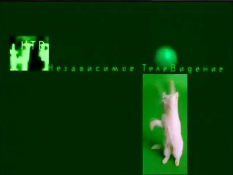staroetv.su / Послерекламная заставка (НТВ, 1997-1998) Коты