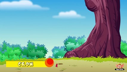 Animal Facts in Hindi - Crow