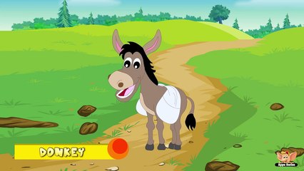 Animal Facts in Hindi - Donkey