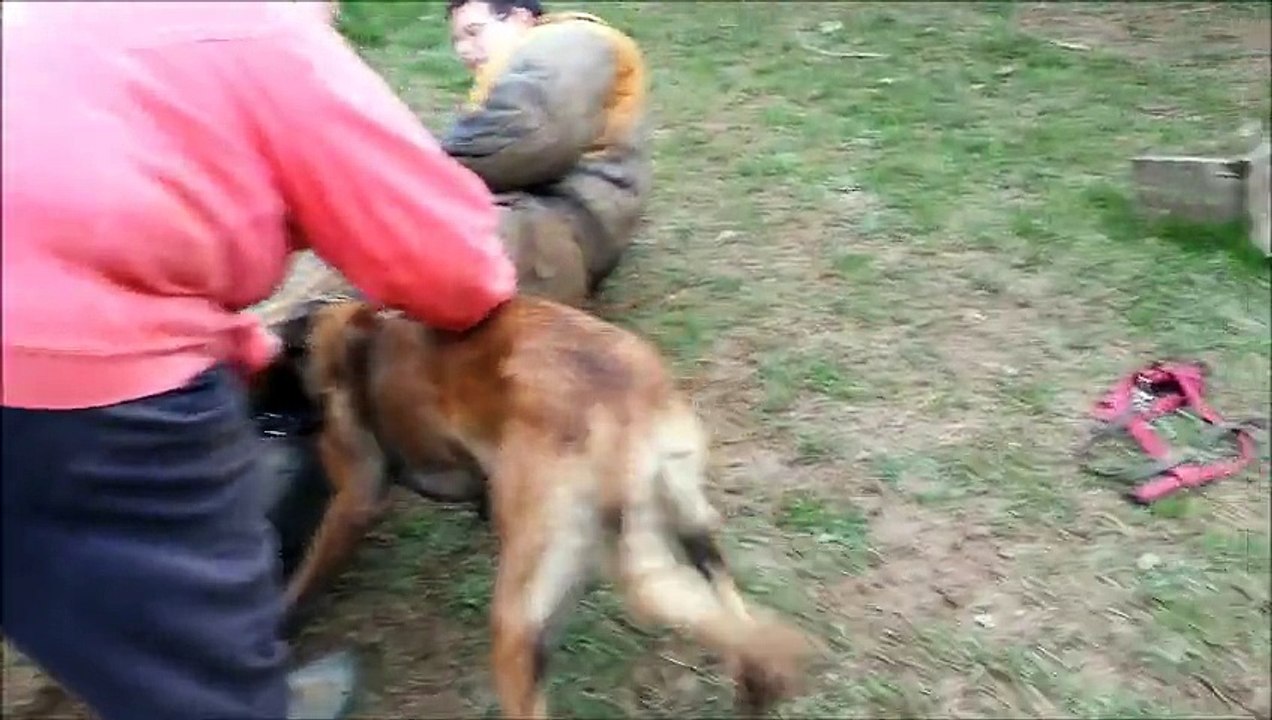 LES GUERRIERS DE MALIGNE