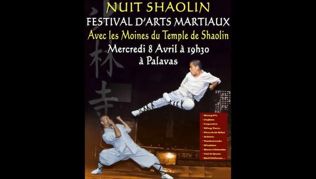 2015-04-08 Démonstration d'Aïkido au Festival des Arts Martiaux de Palavas