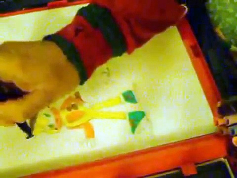 The Chronicles of Chris-chan: Deviant Arts [8/4/09]