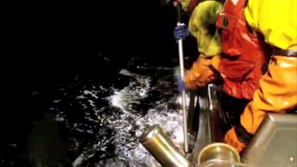 Bering Sea Commercial Fishing Cod