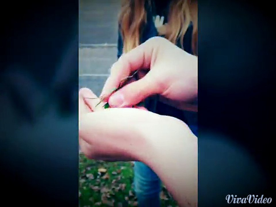 Les défis