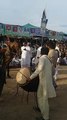 Mela Choa Sedan Shah Chakwal Ghora Dance. Must Watch