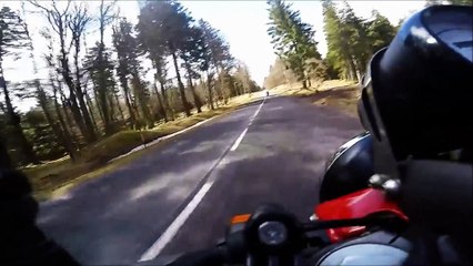 Ballade des Sons of Insarchy dans les Vosges