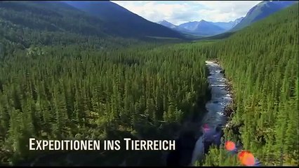 DOĞA VE YABAN HAYATI ( SİBİRYA ) 1